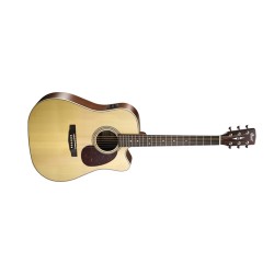 Cort Mr600f
